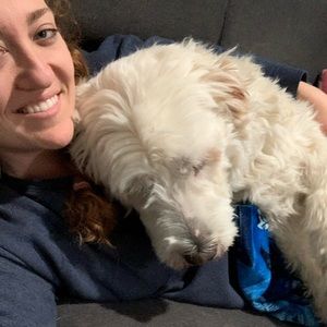 Meet your Posher, Molly